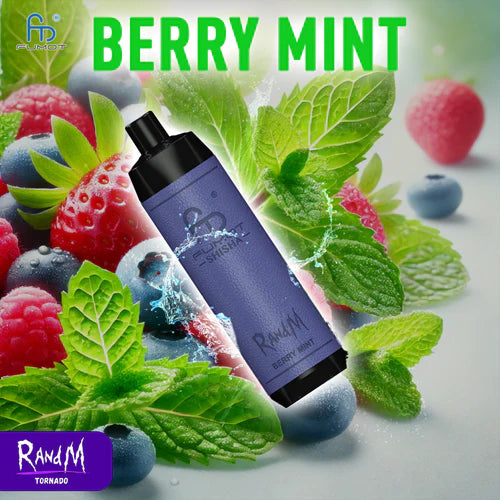 RandM 10000 Shisha Vape Berry Mint