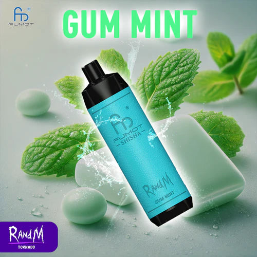 RandM Shisha 10000 Puffs - Gum Mint