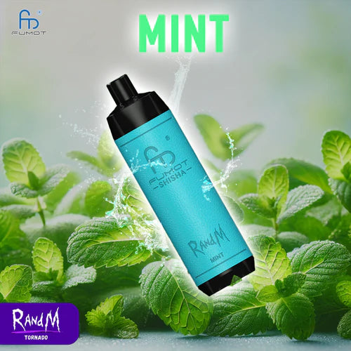 RandM Shisha 10000 Puffs - Mint