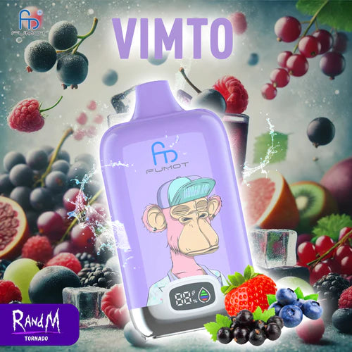 Randm Digital Box 12000 Vimto Einweg-E-Zigarette