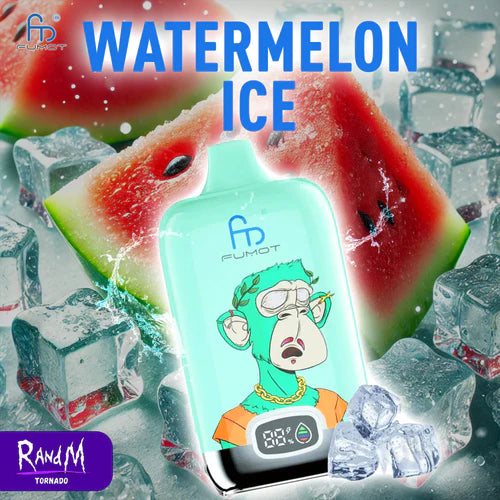 Randm Digital Box 12000 Puffs - Watermelon Ice