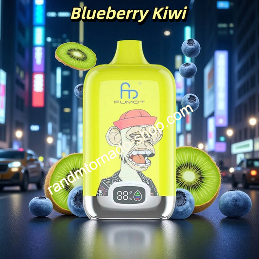 Blueberry Kiwi RandM Digital Box 12000 Puffs