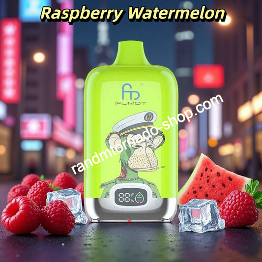 Raspberry Watermelon Randm Digital Box 12000 Puffs