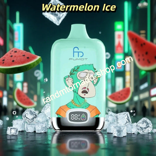 Watermelon Ice Randm Digital Box 12000 Puffs