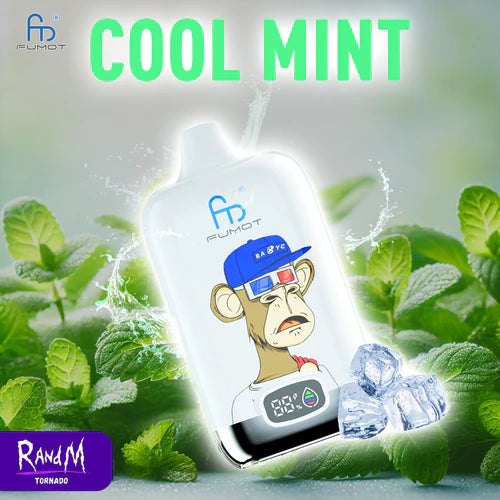 Randm Digital Box 12000 Puffs - Cool Mint