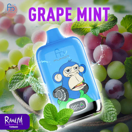 Randm Digital Box 12000  - Grape Mint